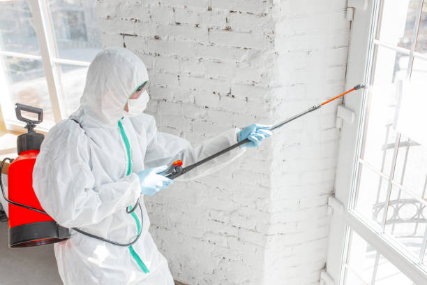 Professional Mold Removal & Remediation in Nichols Hills, OK